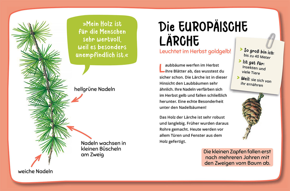 KOSMOS | Mein 1. Naturführer Welcher Baum ist das?