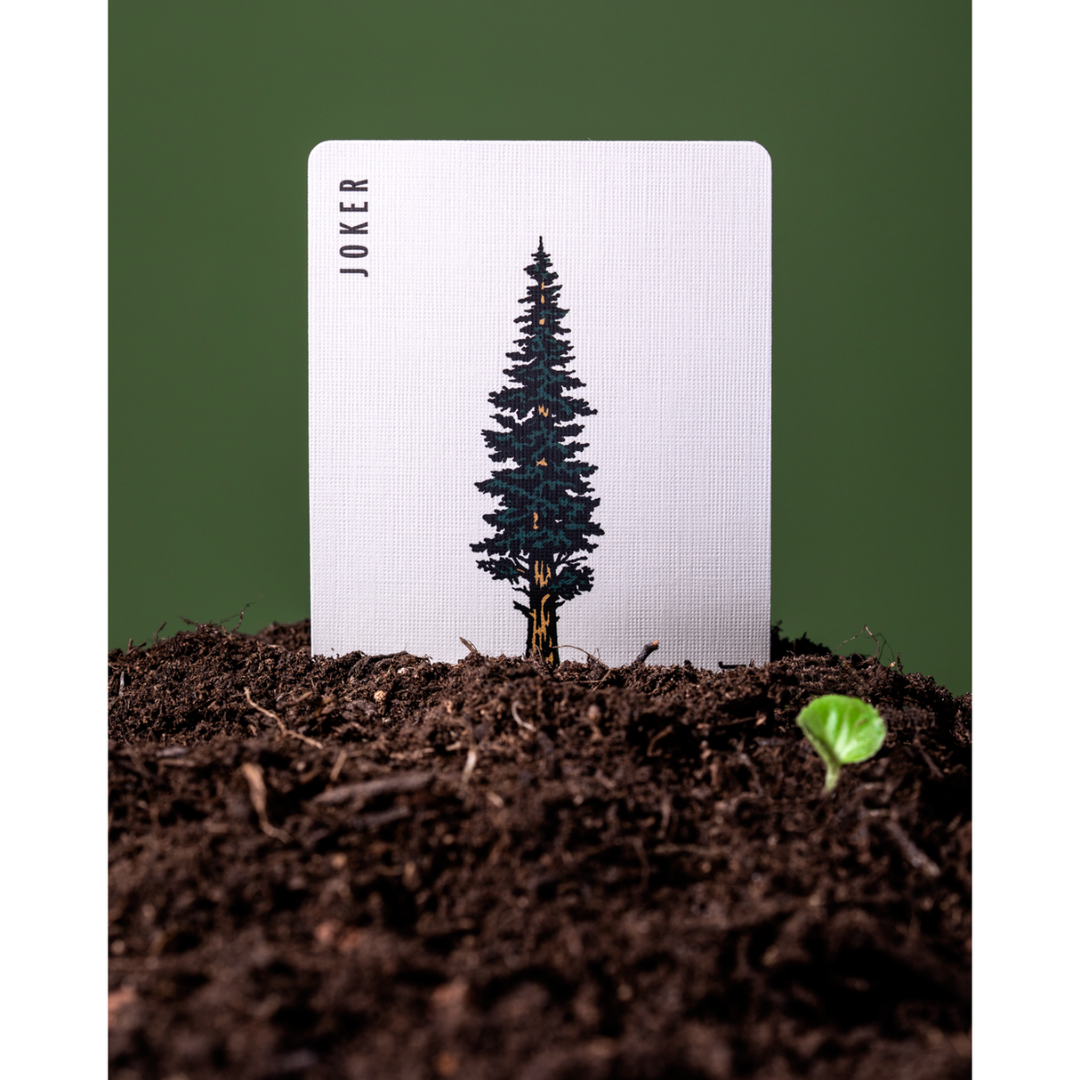 Art of Play | Spielkarten | Smokey Bear