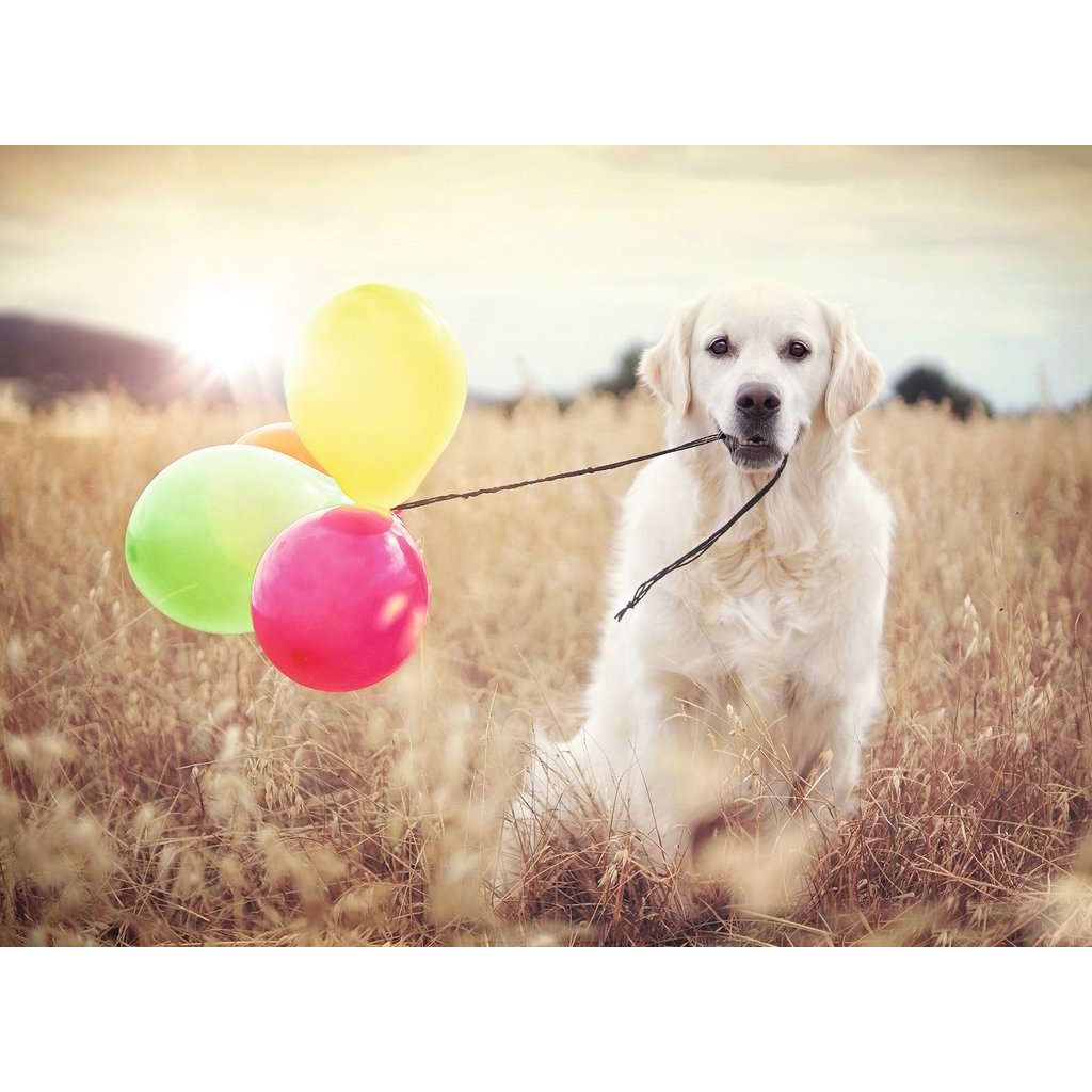 Ravensburger | Luftballonparty