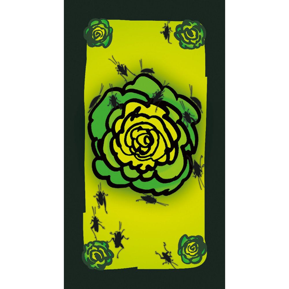 Schmidt Spiele | Kakerlakensalat