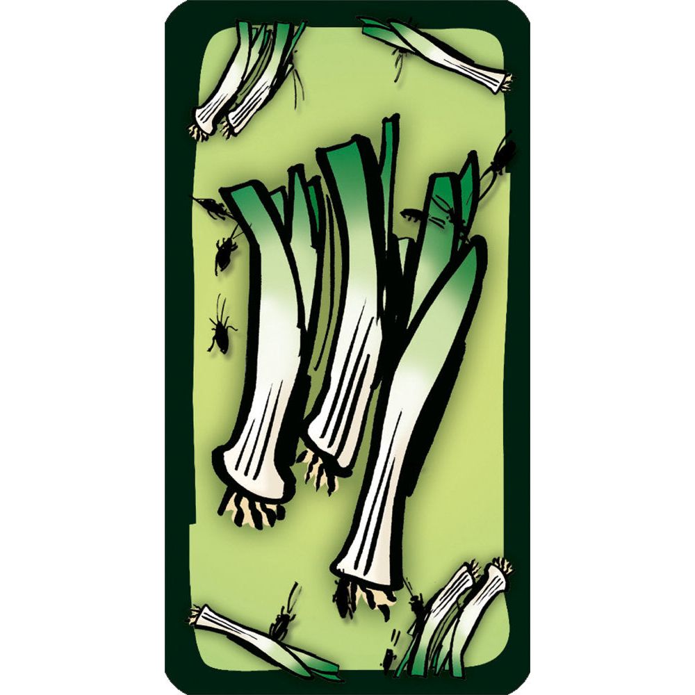 Schmidt Spiele | Kakerlakensuppe