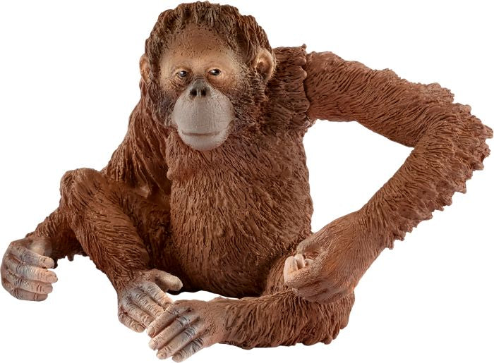 Schleich | Orang-Utan Weibchen | 14775