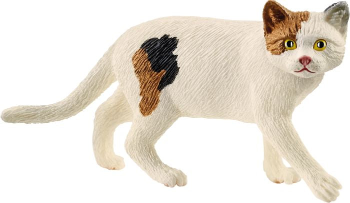 Schleich | Amerikanische Kurzhaarkatze | 13894