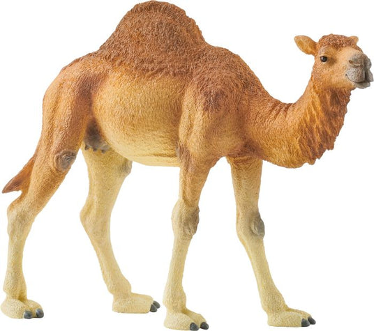 Schleich | Dromedar | 14832