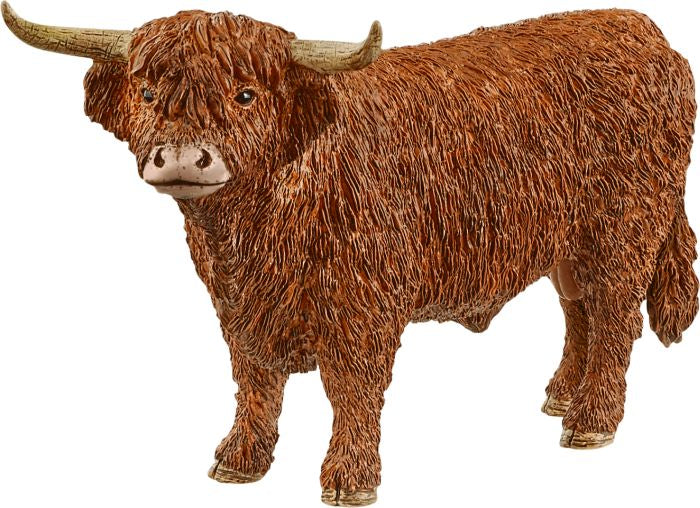 Schleich | Hochland Bulle | 13919