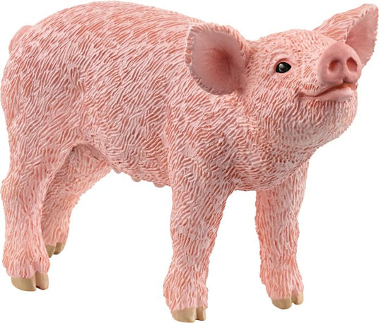 Schleich | Ferkel | 13934
