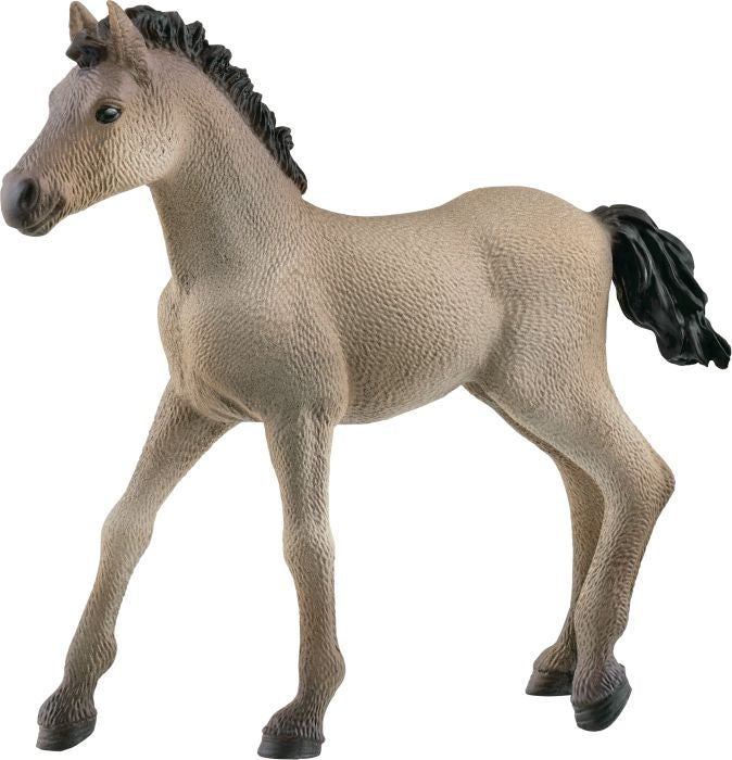 Schleich | Criollo Definitivo Fohlen | 13949