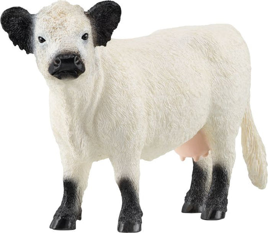 Schleich | Galloway Kuh | 13960