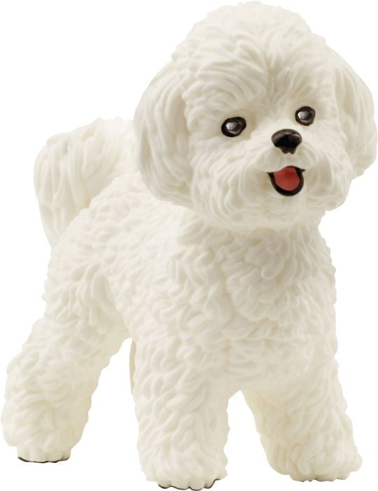 Schleich | Bichon Frisé | 13963