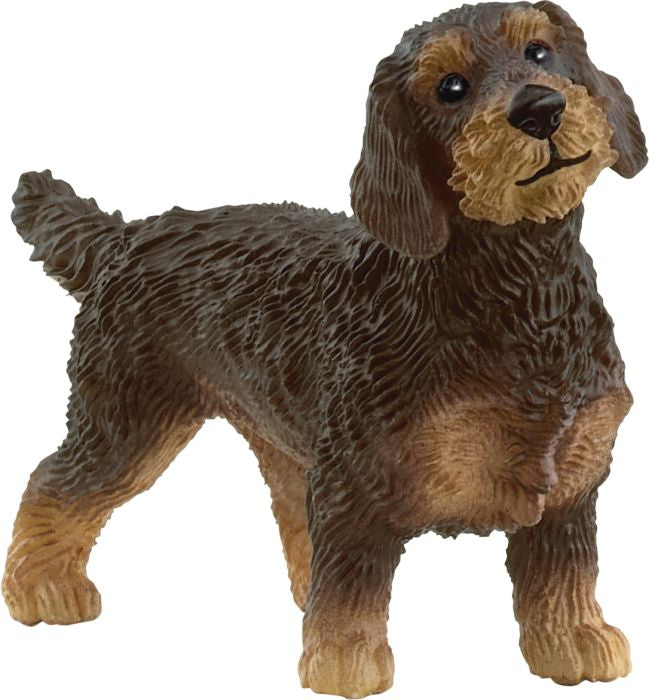 Schleich | Rauhaardackel | 13972