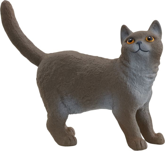Schleich | Britische Kurzhaar Katze | 13973