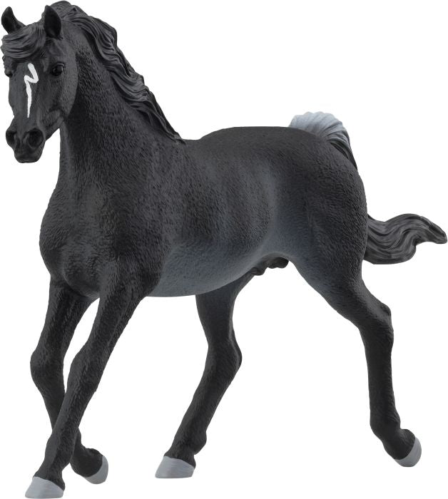 Schleich | Araber Hengst | 13981