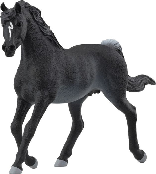Schleich | Araber Hengst | 13981