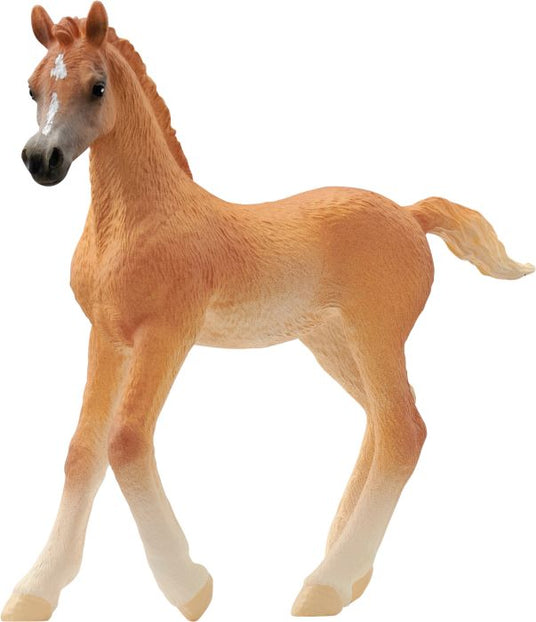 Schleich | Araber Fohlen | 13984