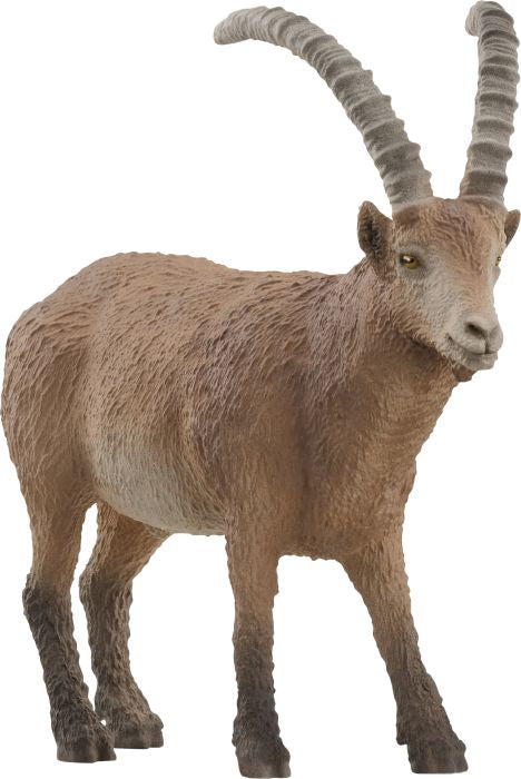 Schleich | Steinbock | 14873