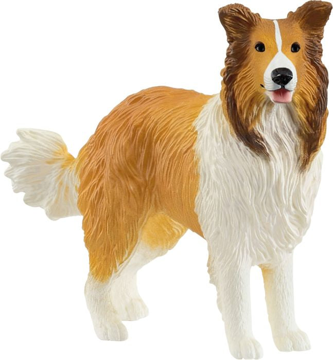 Schleich | Collie | 13998