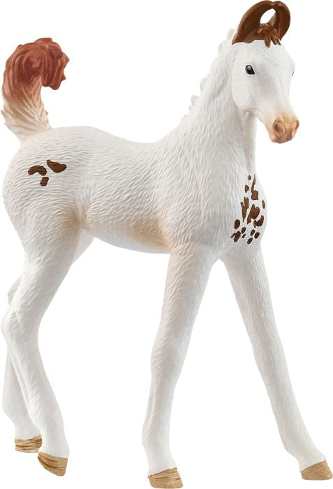 Schleich | Marwari Fohlen | 14896