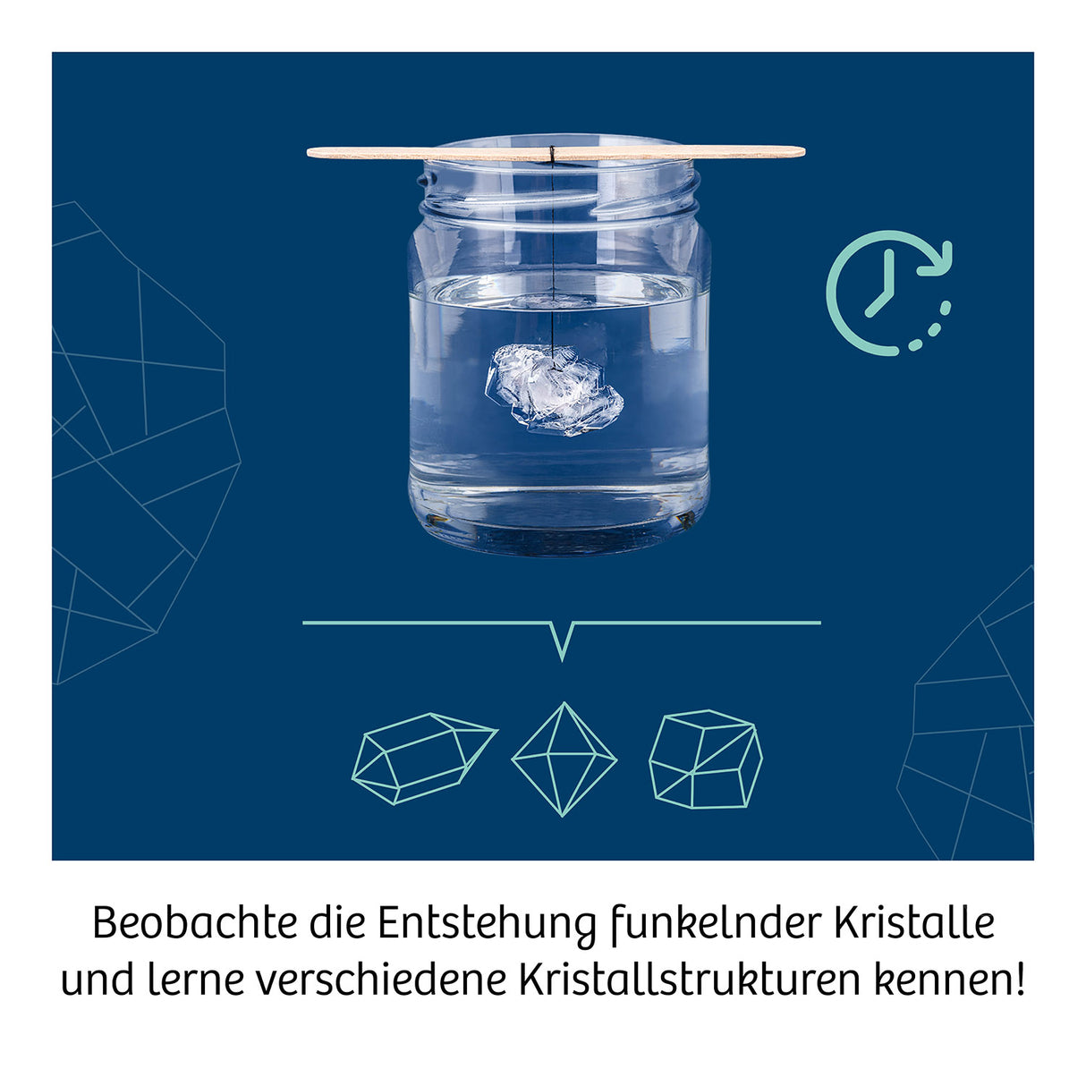 KOSMOS | Kristalle züchten