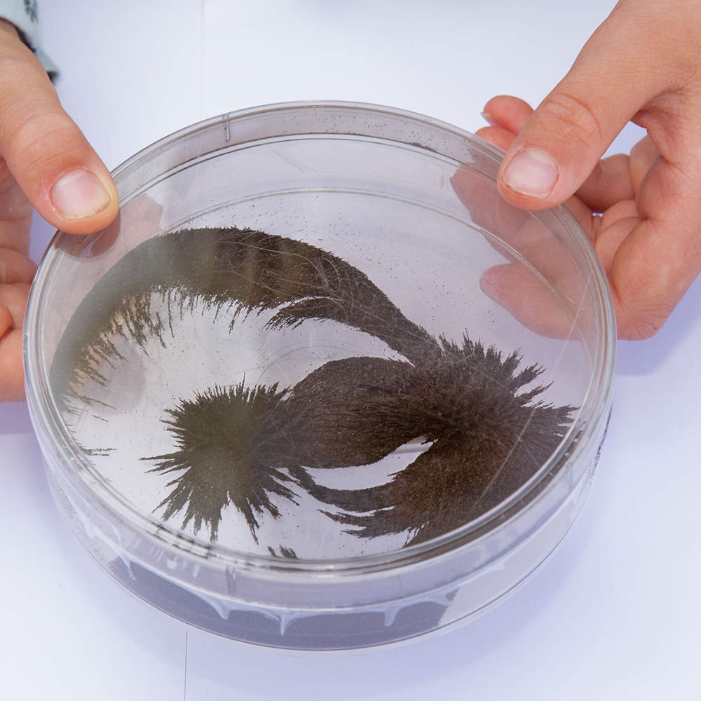 KRAUL | Magnetspiele