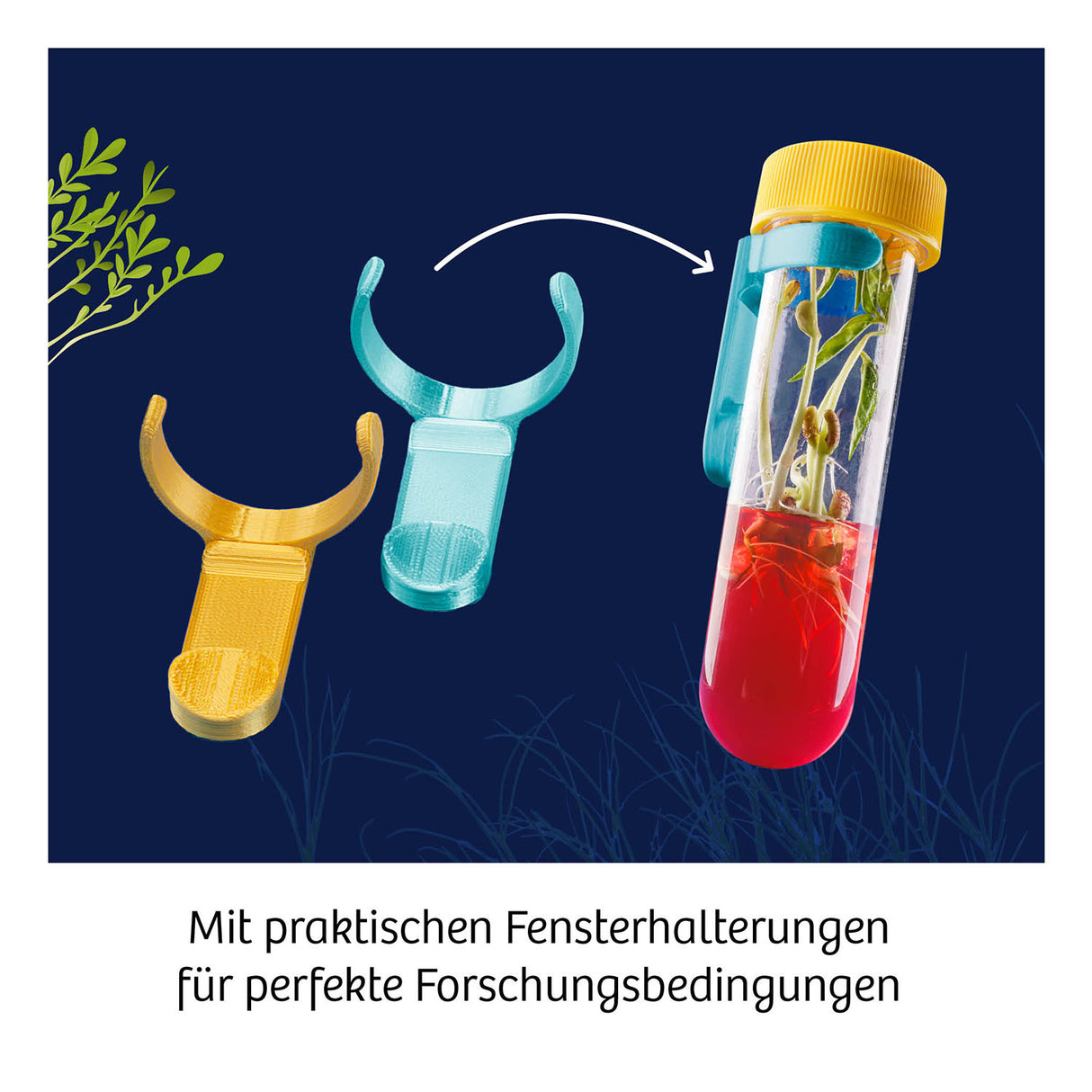 KOSMOS | Fun Science Aqua-Gel-Pflanzen