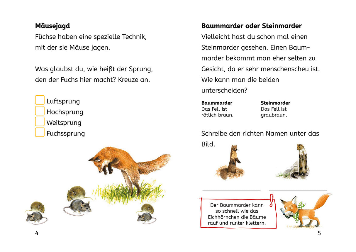 KOSMOS | Bücherhelden 2.Kl. Naturrätsel Wald