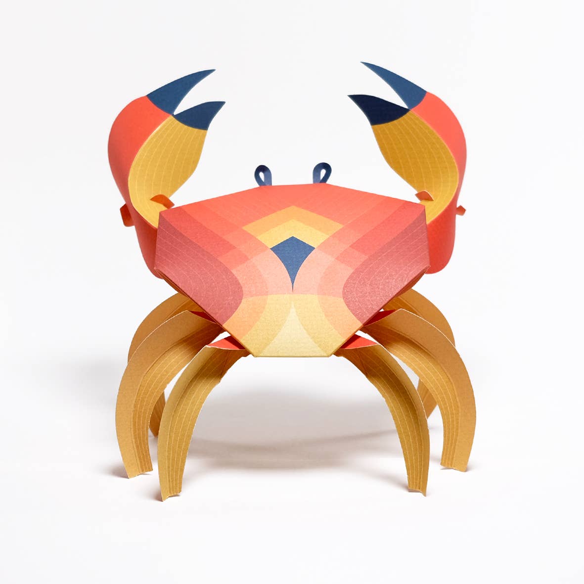 PLEGO - CANCRIDAE - Papierkrabbe