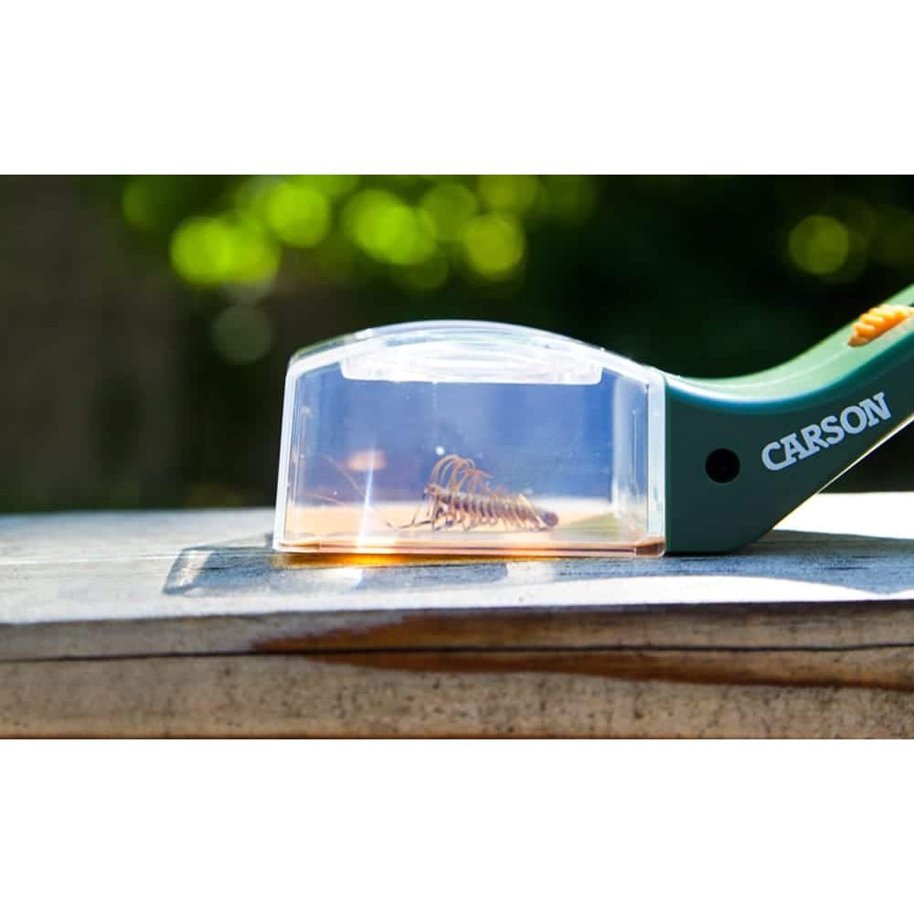 CARSON | Einhand Insektenlupe | BugView | HU-10