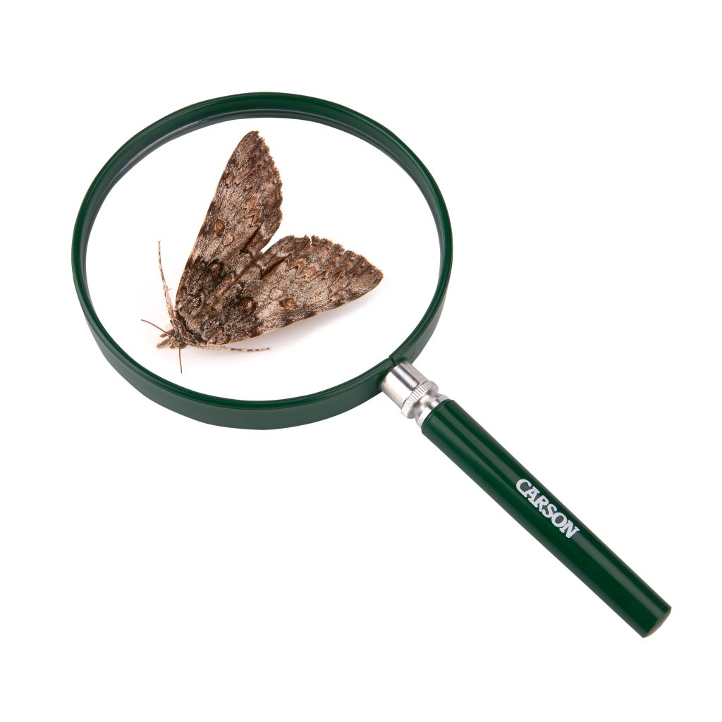 CARSON | grosse Handlupe | Big Eye | HU-20