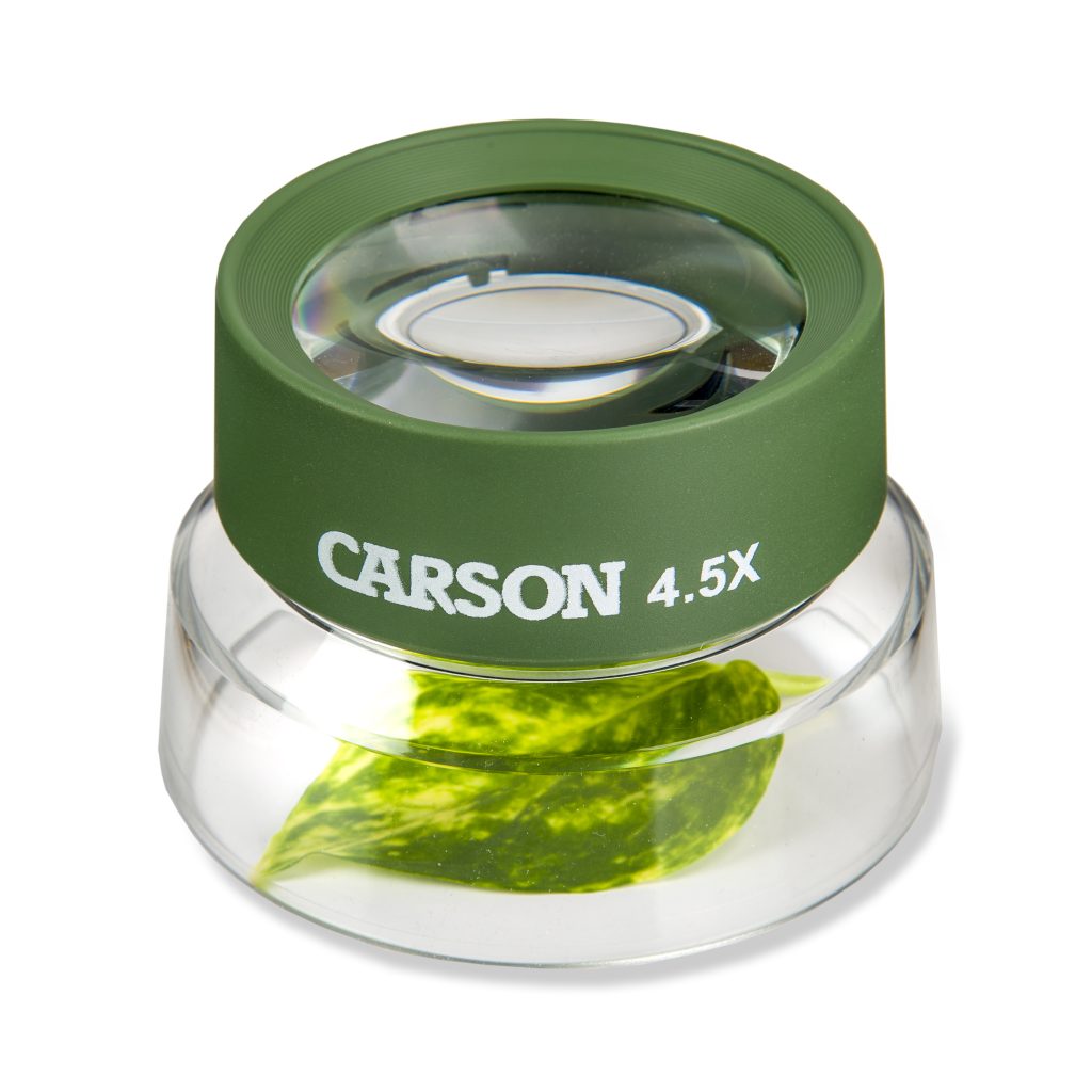 CARSON | stabiles Vergrößerungsglas | BugLoupe | HU-55