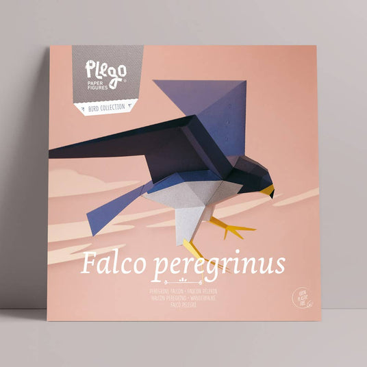 PLEGO - FALCO PEREGRINUS Wandefalke |Papiervogel