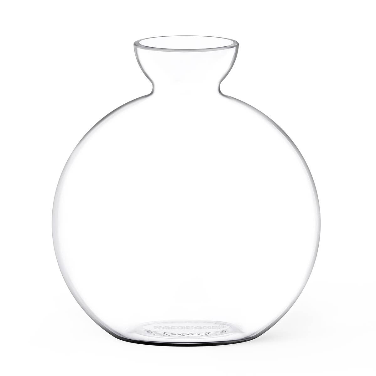 Cloudberries - Vasecado® Grow an Avocado-Pflanze, handgeblasene Vase aus klarem Glas