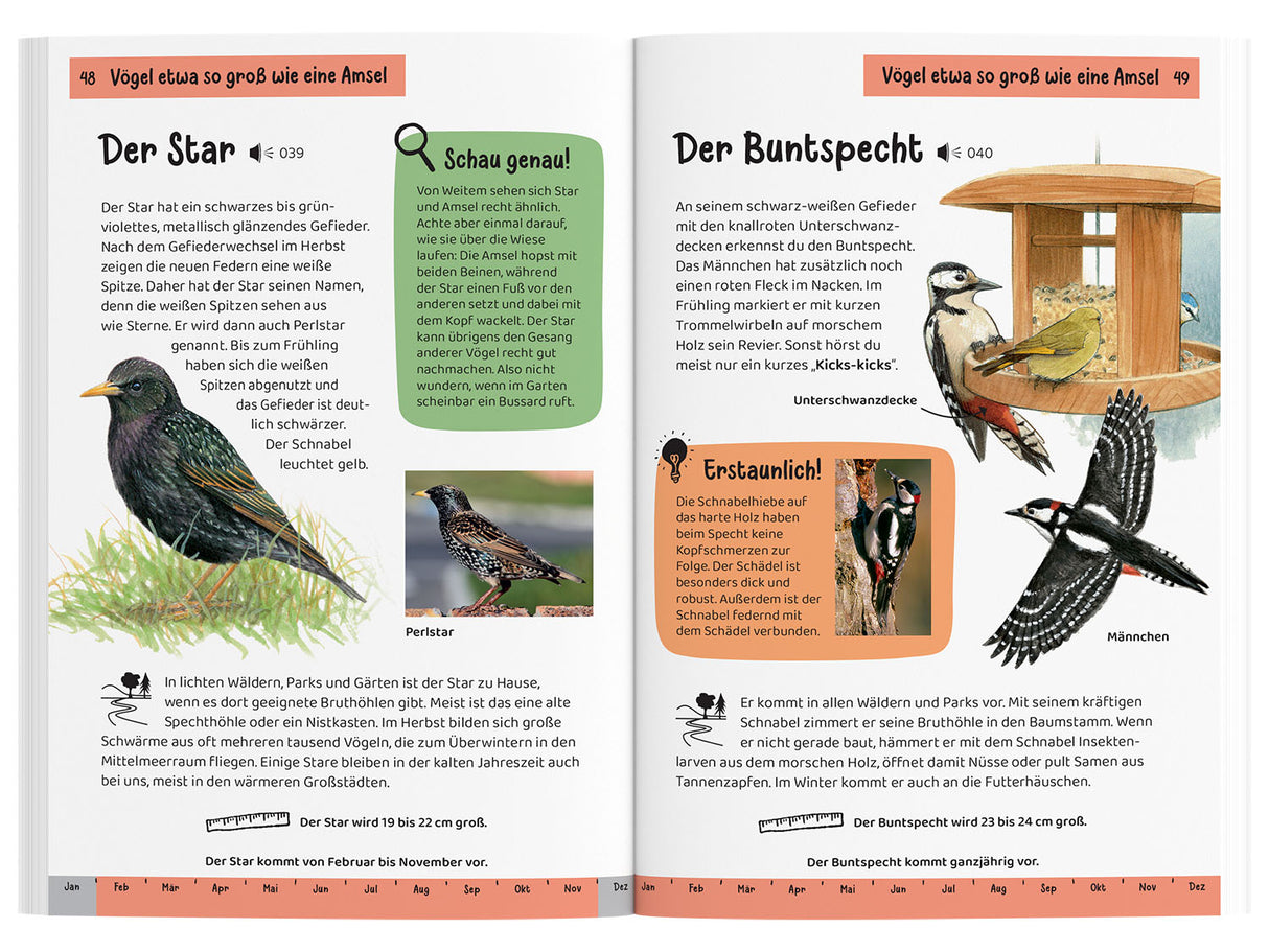 KOSMOS | Kindernaturführer Was fliegt denn da?