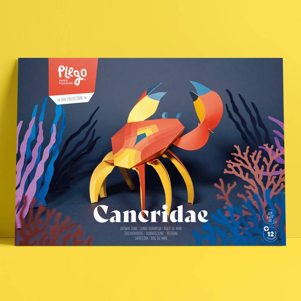 PLEGO - CANCRIDAE - Papierkrabbe