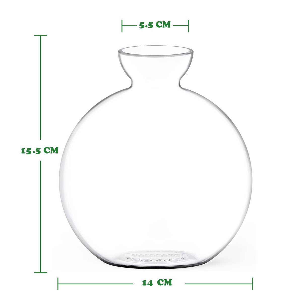 Cloudberries - Vasecado® Grow an Avocado-Pflanze, handgeblasene Vase aus klarem Glas