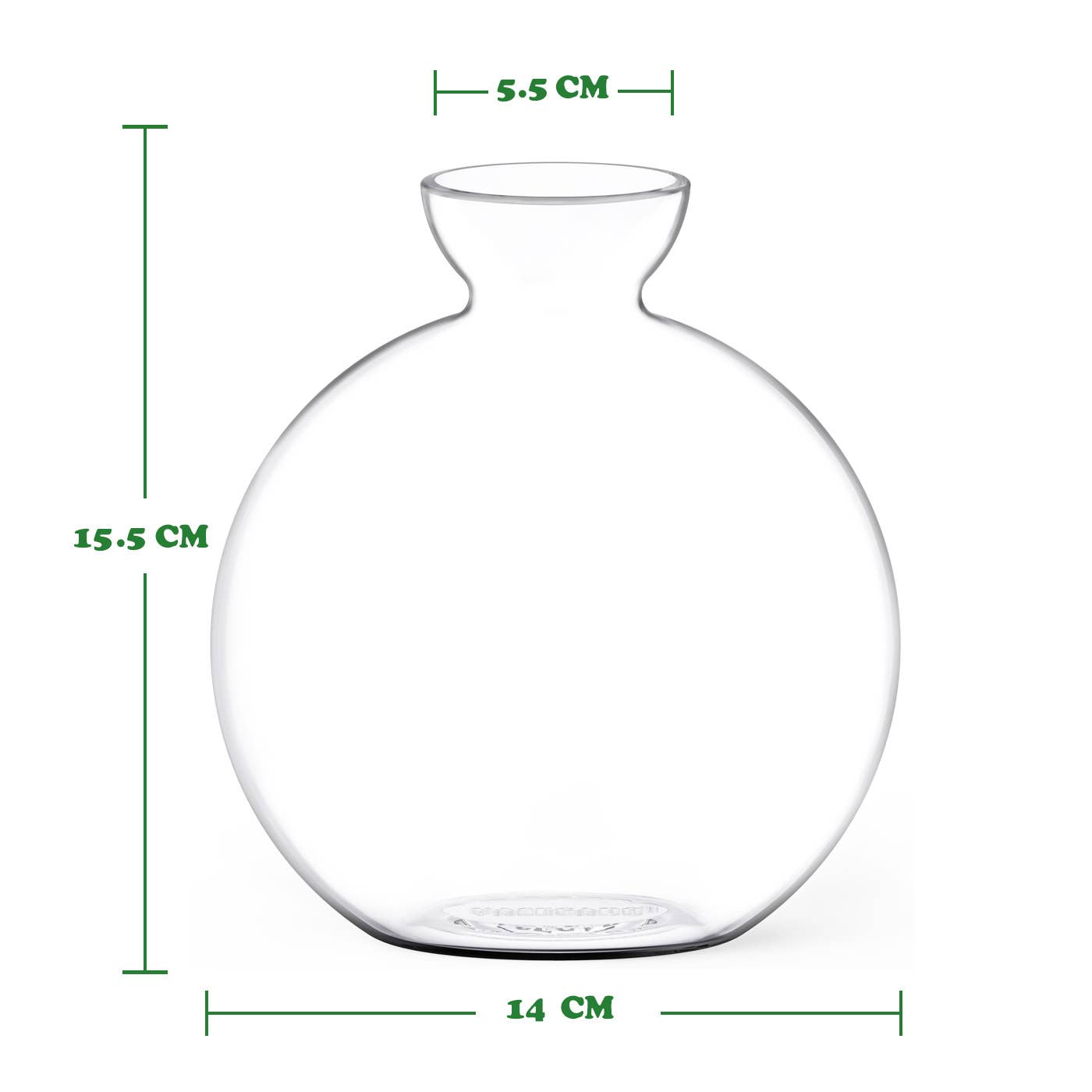 Cloudberries - Vasecado® Grow an Avocado-Pflanze, handgeblasene Vase aus klarem Glas