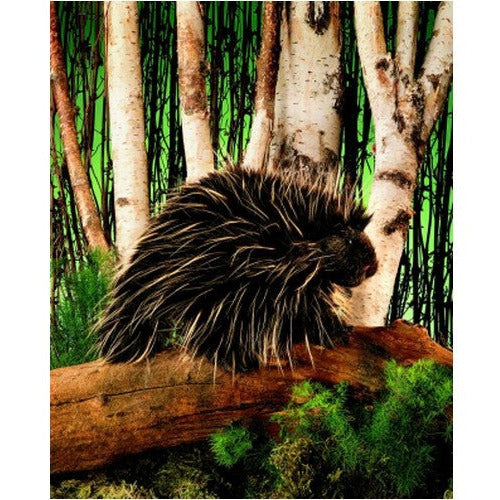 Folkmanis Puppets | Stachelschwein / Porcupine