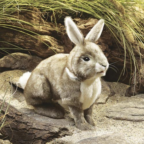Folkmanis Puppets | Baumwollschwanz-Kaninchen / Rabbit, Cottontail