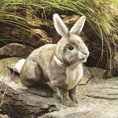 Folkmanis Puppets | Baumwollschwanz-Kaninchen / Rabbit, Cottontail