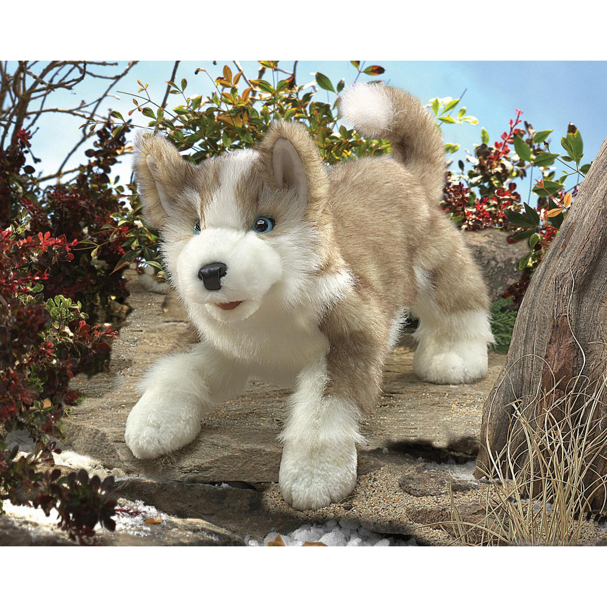 Folkmanis Puppets | Wolfsjunges / Wolf Pup