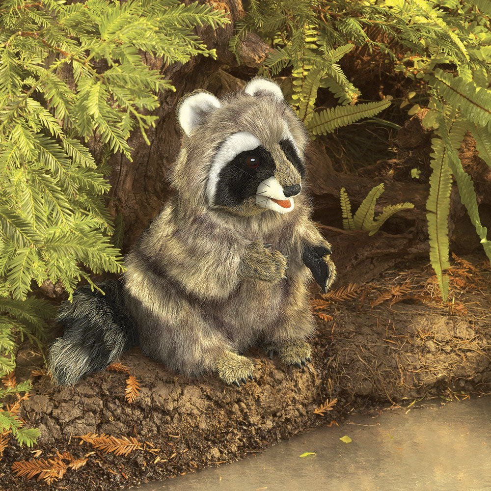 Folkmanis Puppets | Waschbär / Raccoon