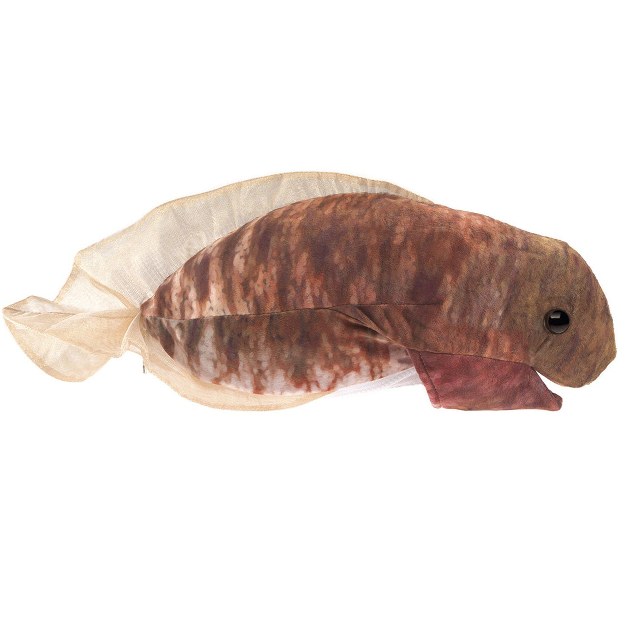 Folkmanis Puppets | Metamorphose Frosch / Frog Life Cycle