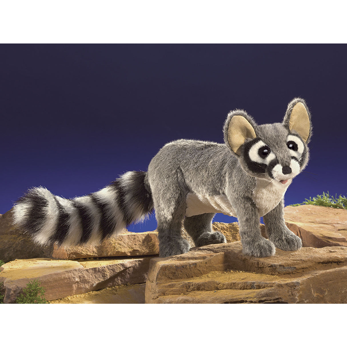 Folkmanis Puppets | Katzenfrett (Waschbärfamilie) / Ringtail Cat