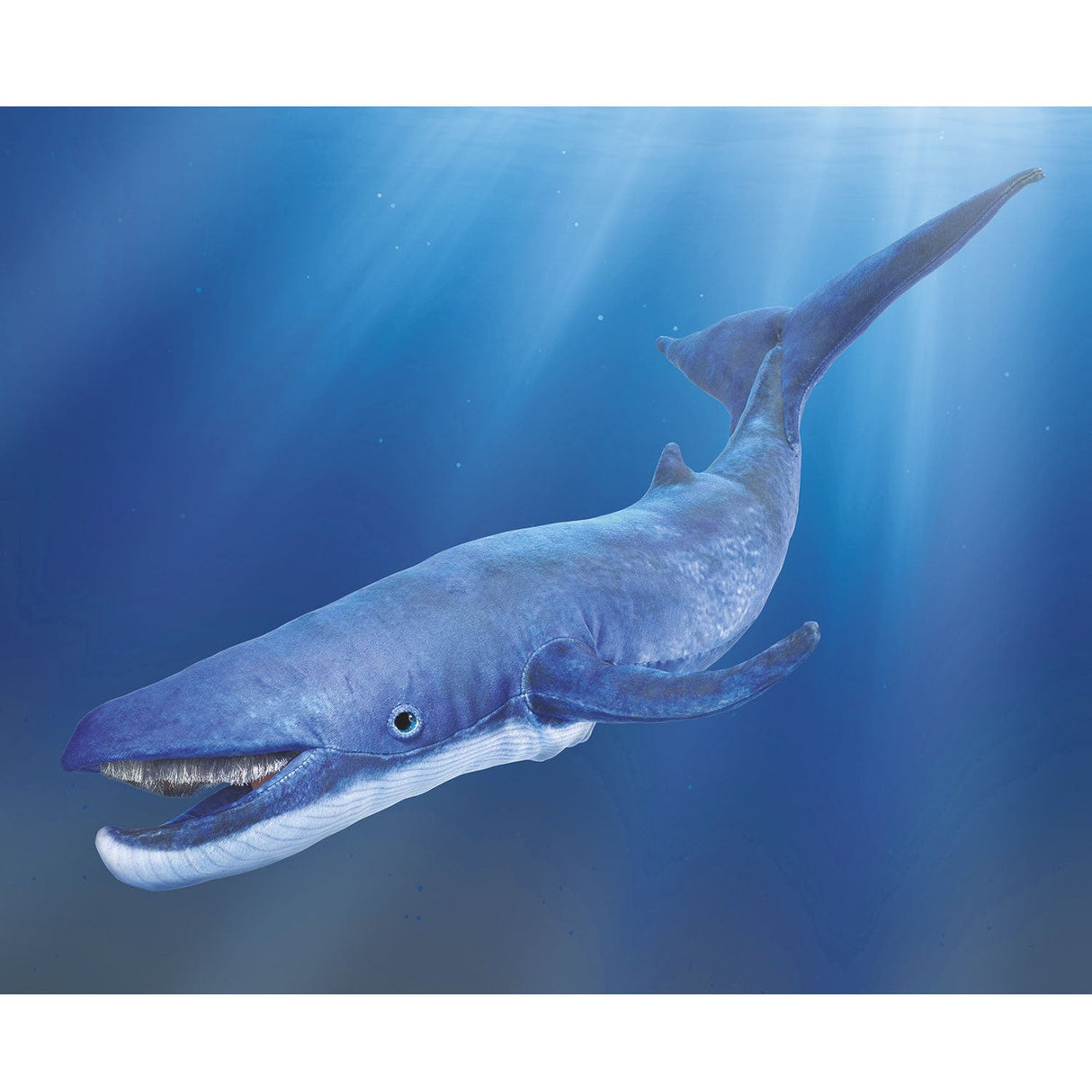 Folkmanis Puppets | Blauwal / Blue whale
