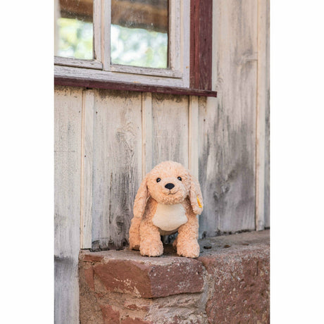 Steiff® | Soft Cuddly Friends Berno Goldendoodle | 36 cm