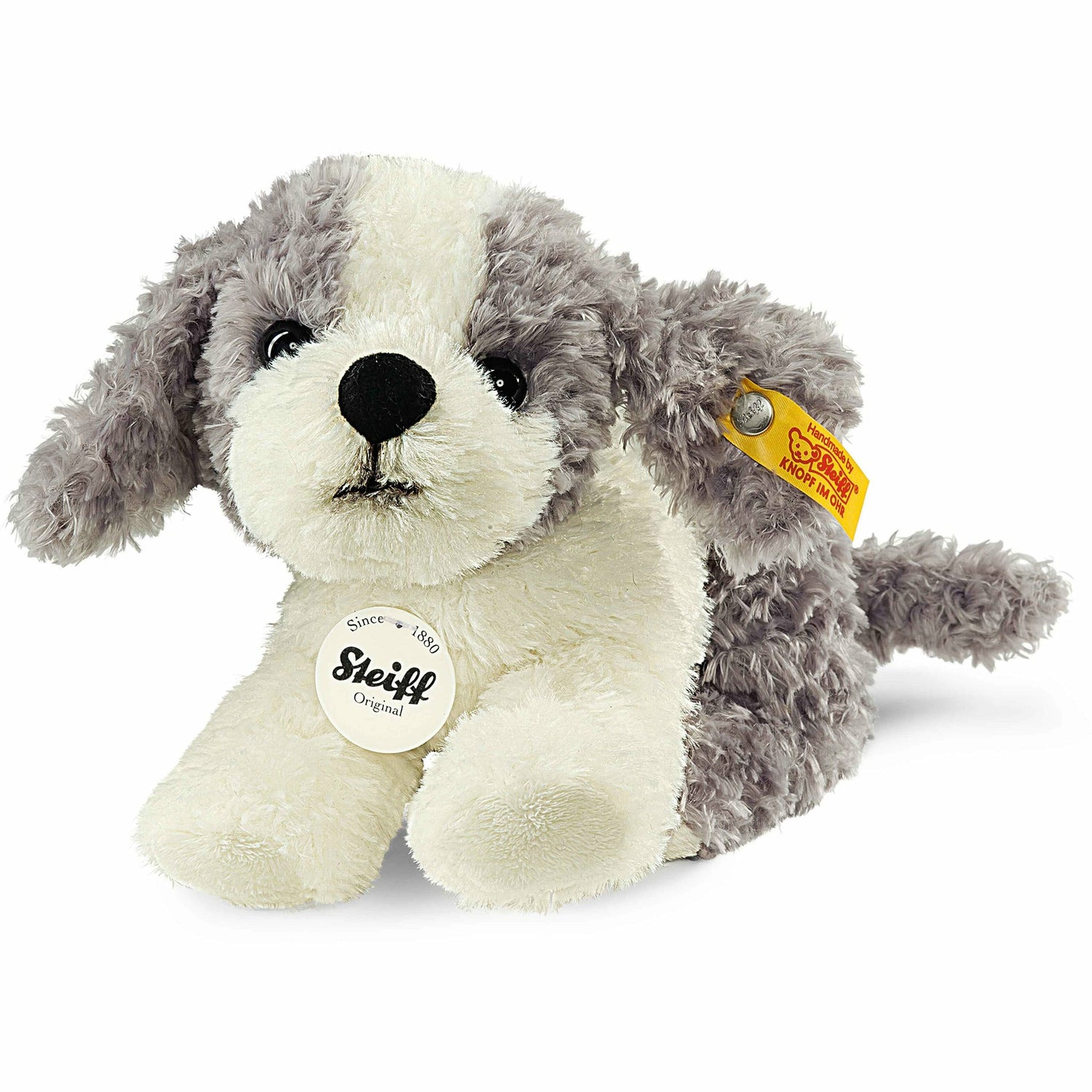 Tommy Huendchen 17 grau/weiss sitzend