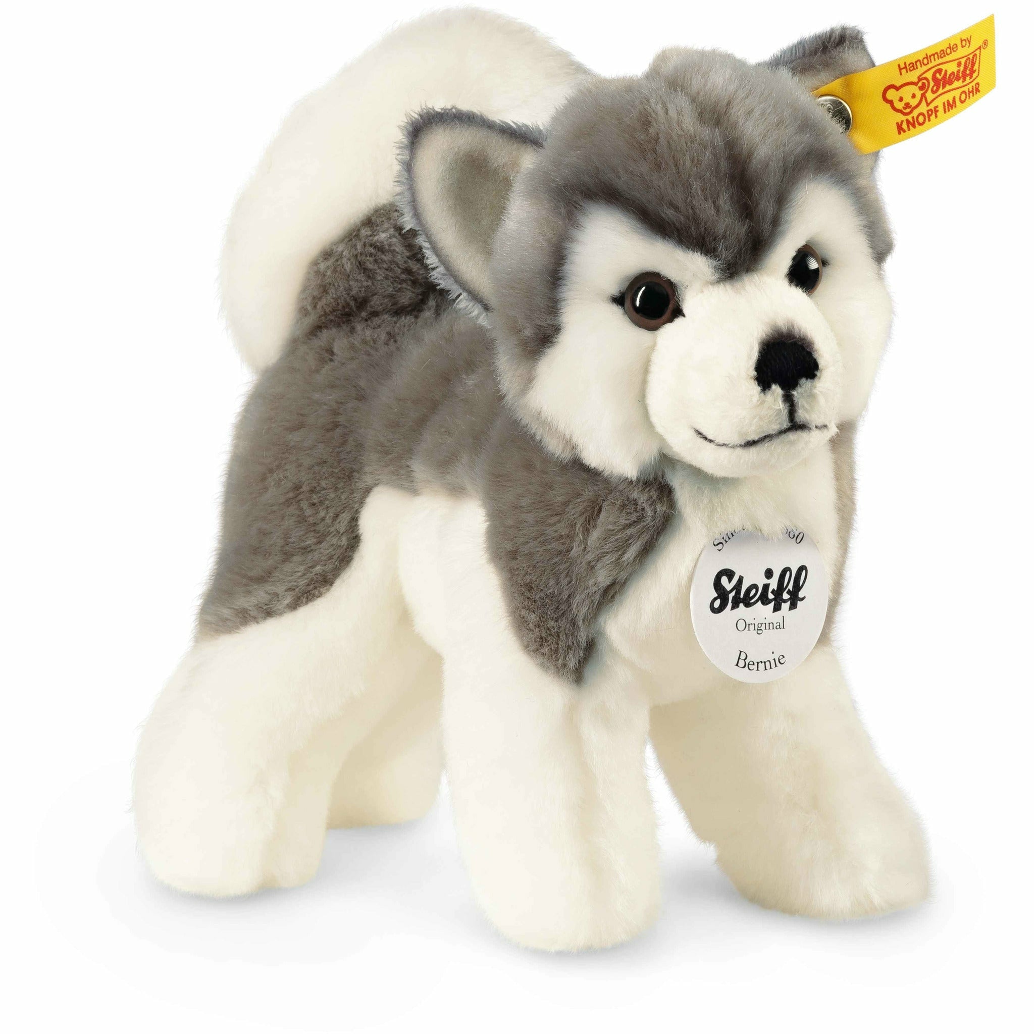 Bernie Husky 17 grau/weiss stehend