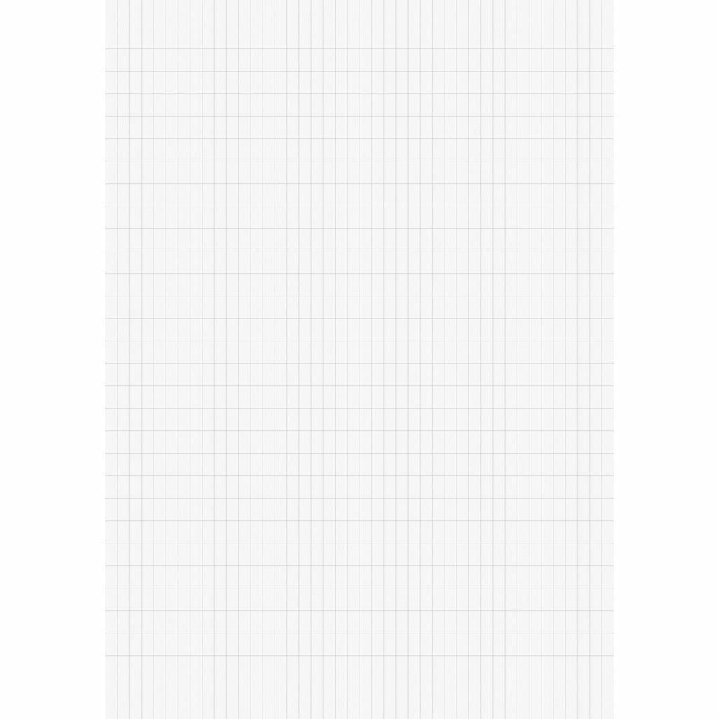 Briefblock A4 70g BRUNNEN raut