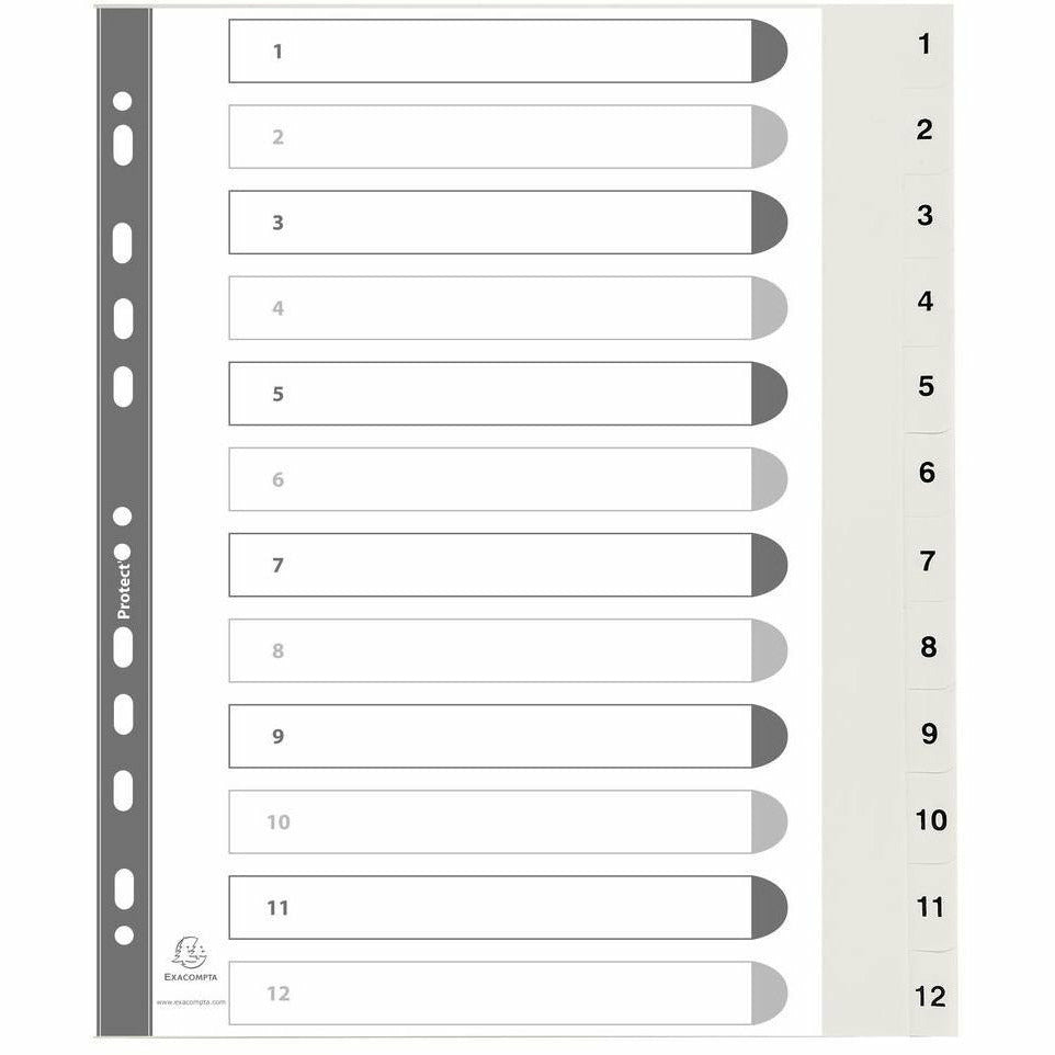Register A4 PP 1-12tlg ws+registerseit