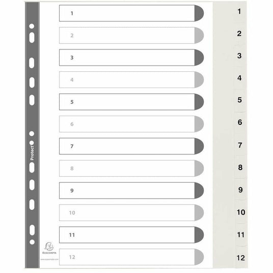 Register A4 PP 1-12tlg ws+registerseit