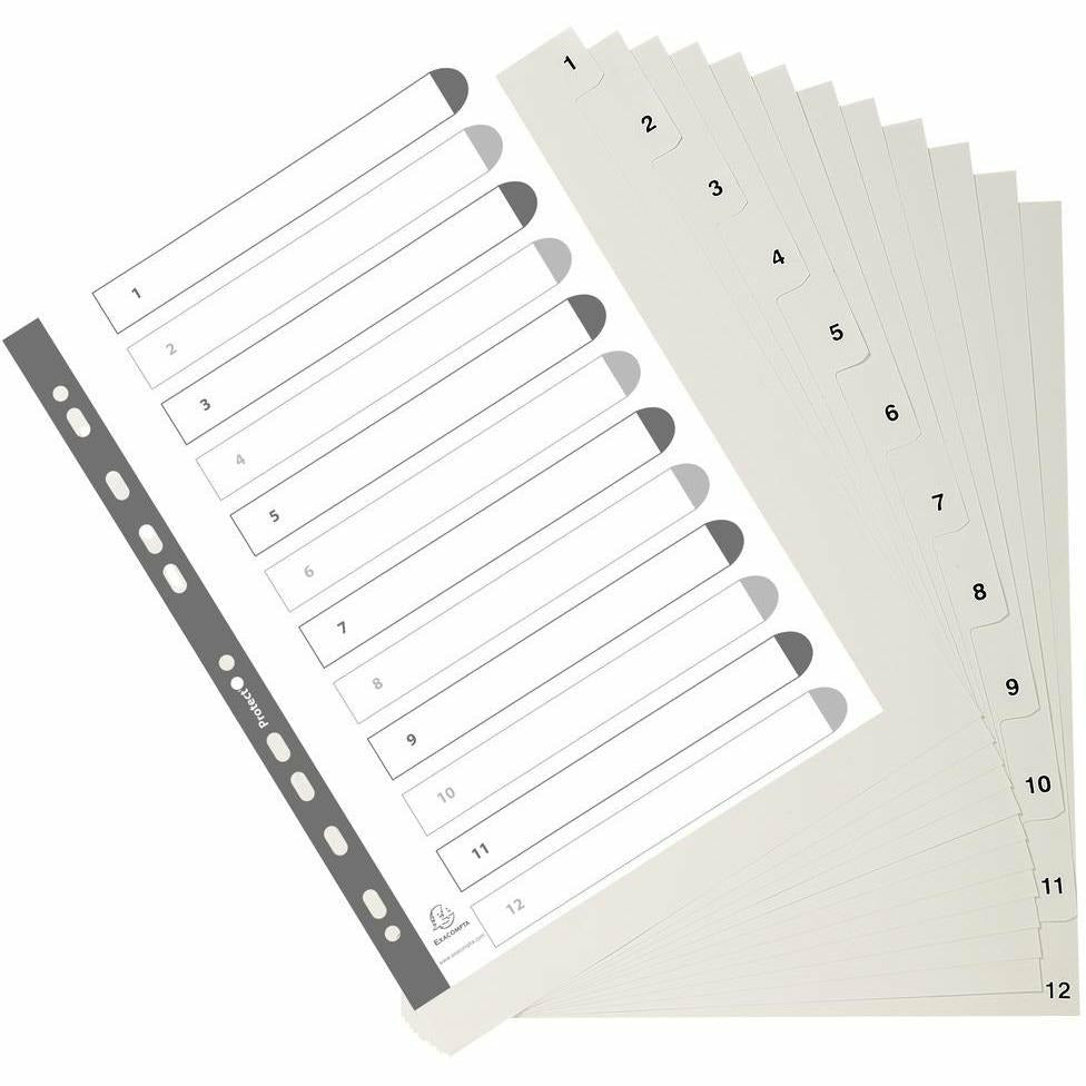 Register A4 PP 1-12tlg ws+registerseit